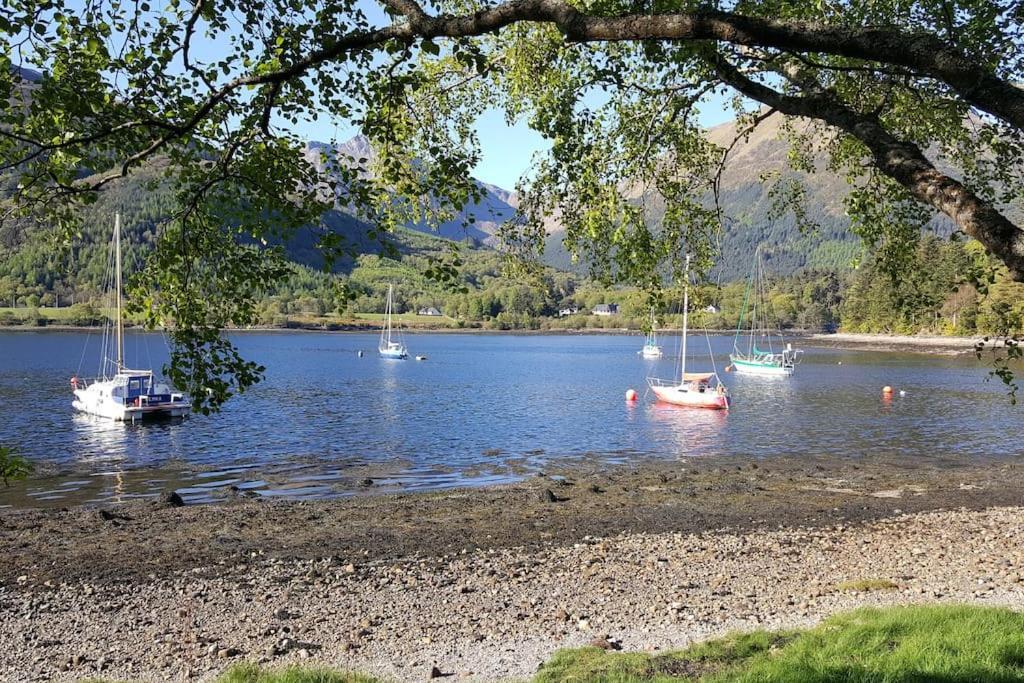 Roe Deer Cottage Near Glencoe Fort William Zewnętrze zdjęcie